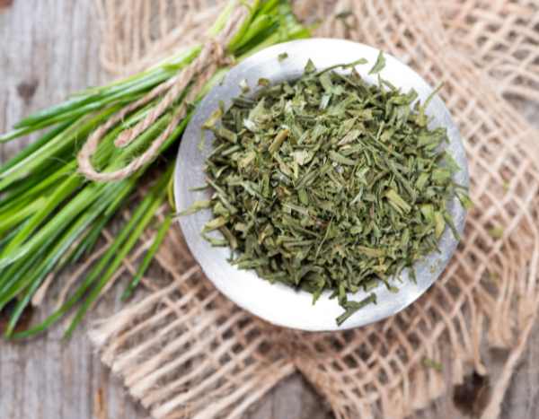 How to harvest and store chives?