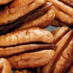 Pecan tree: the best varieties