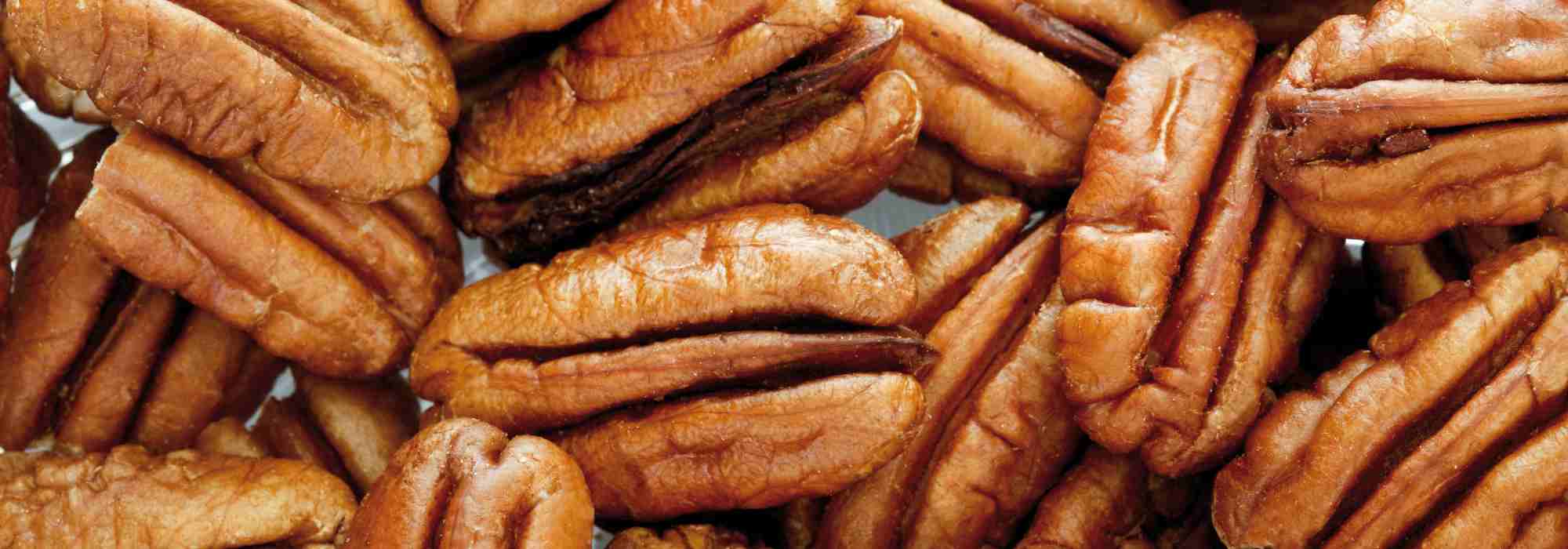 Pecan tree: the best varieties