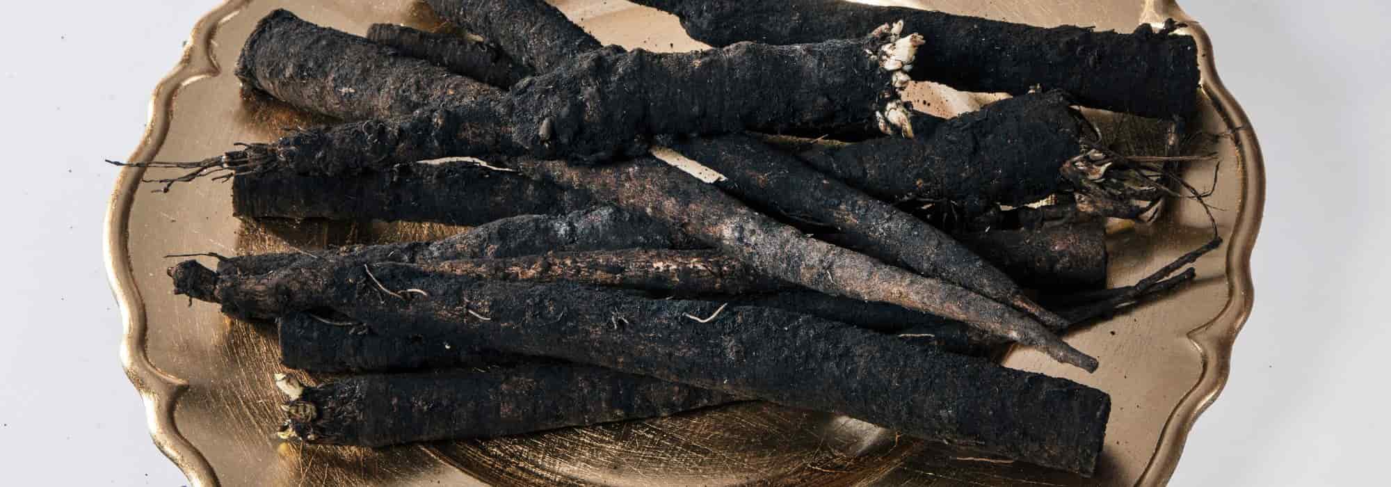 Discover the scorzonera, a vegetable to grow in the vegetable garden.