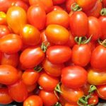 F1 Tomatoes: what are they exactly?