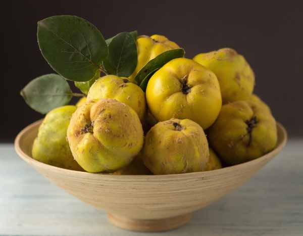 How to harvest and store quinces?
