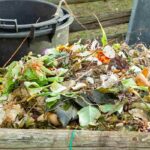 Natural compost activators: when and how to use them?