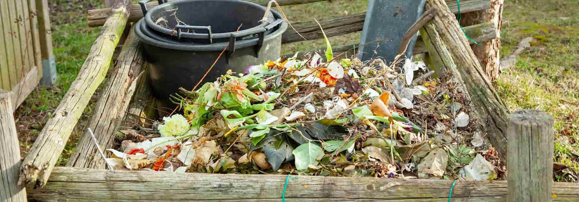 Natural compost activators: when and how to use them?
