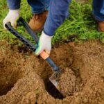 How to Fail at Planting Your Bushes in 5 Lessons?