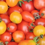 How to choose cherry tomatoes or cocktail tomatoes?