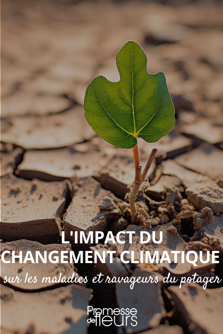 Copy of Culture on mounds why and how to practice it