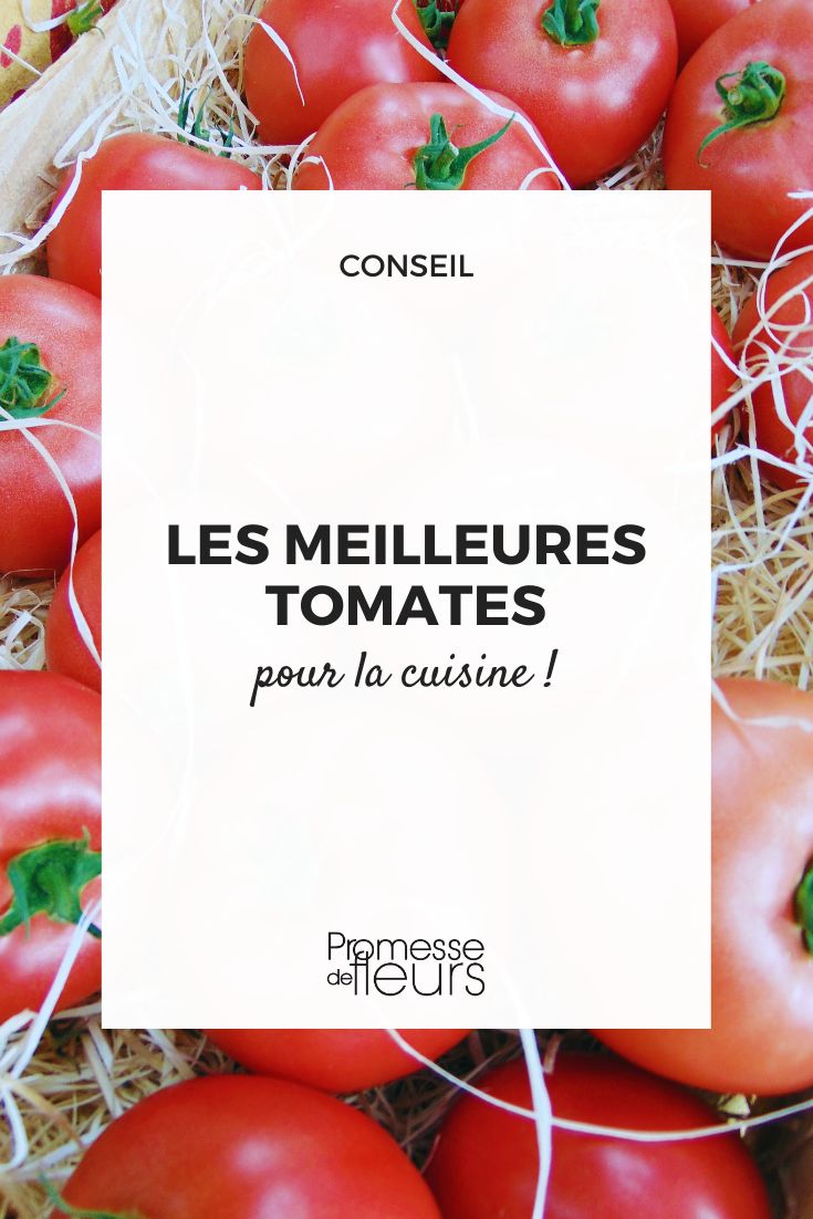 The best tomatoes for cooking