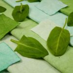 Plant dye: how to make a natural dye with garden plants?
