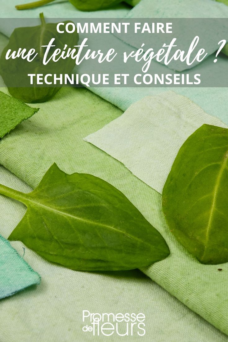 Dyeing Clothes with Plant-Based Dye