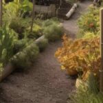 Permaculture in the kitchen garden: our season-by-season guide