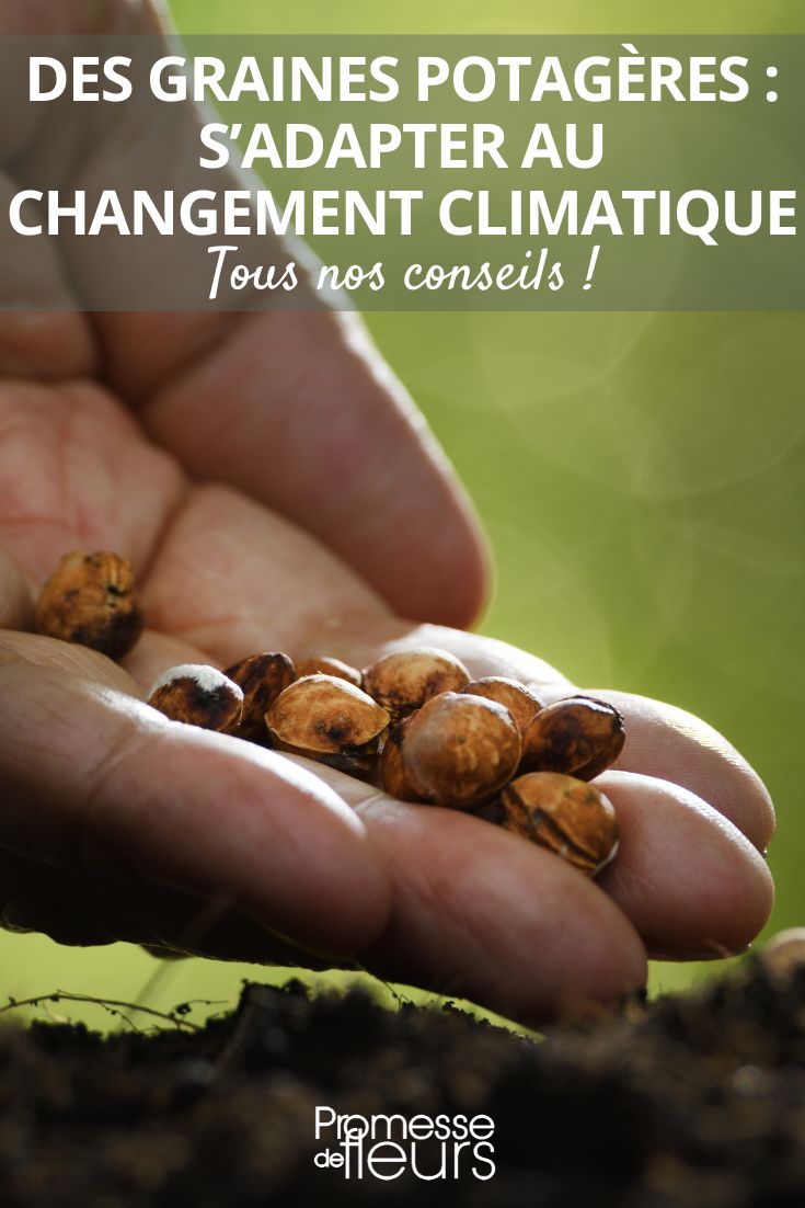 Resilience in the Vegetable Garden