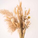 How to dry grasses to create a dried bouquet?