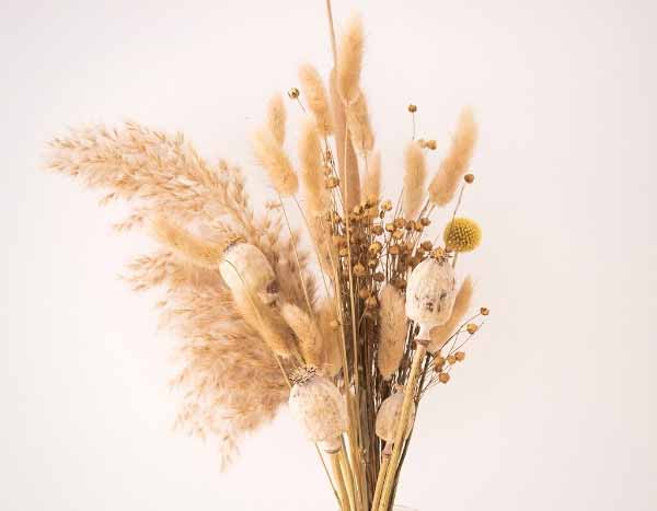 How to dry grasses to create a dried bouquet?