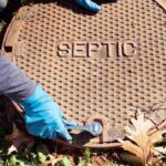 Which plants to avoid near a septic tank?