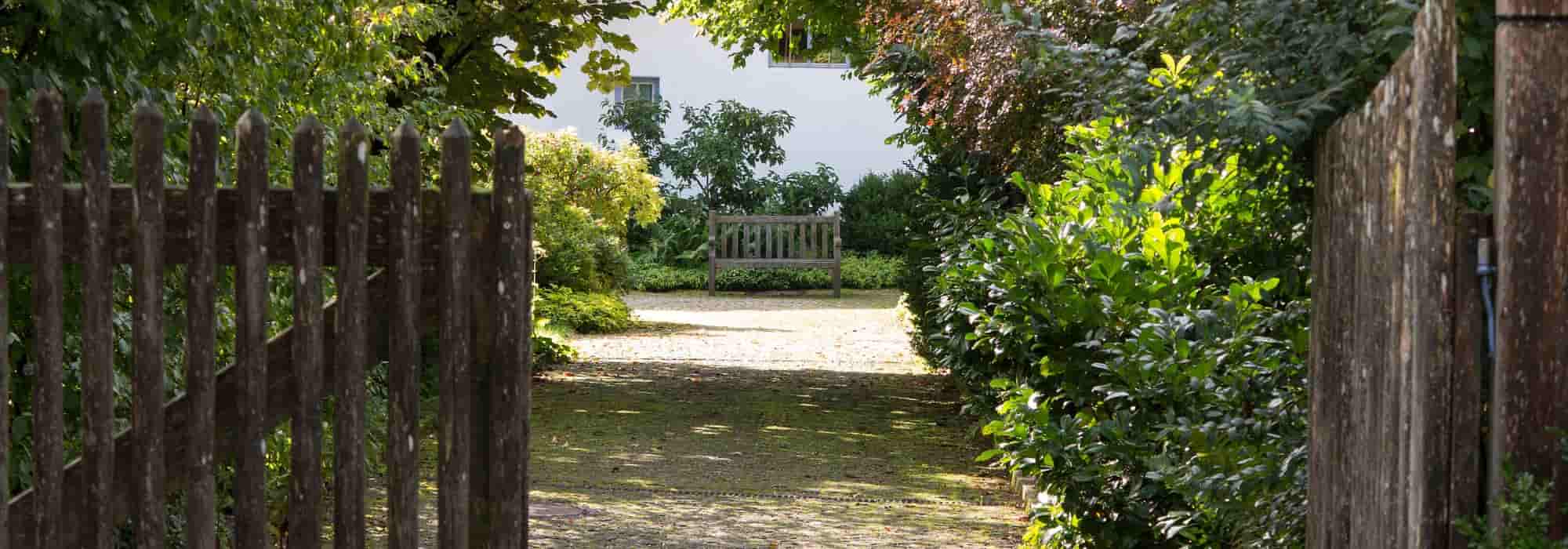 5 hedge bushes for stony soil