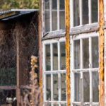 My neighbour doesn't look after his garden: what can I do?