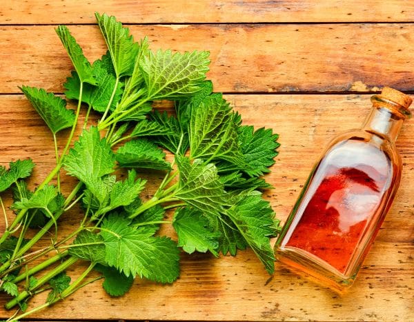 How to make a herbal lotion to get natural shiny hair?