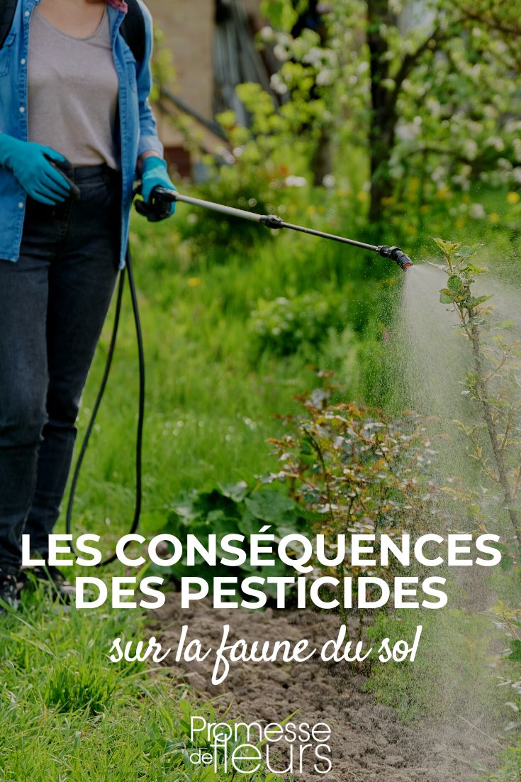 The harmful effects of pesticides on soil fauna