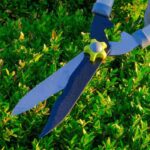 How to prune and care for evergreen bushes?