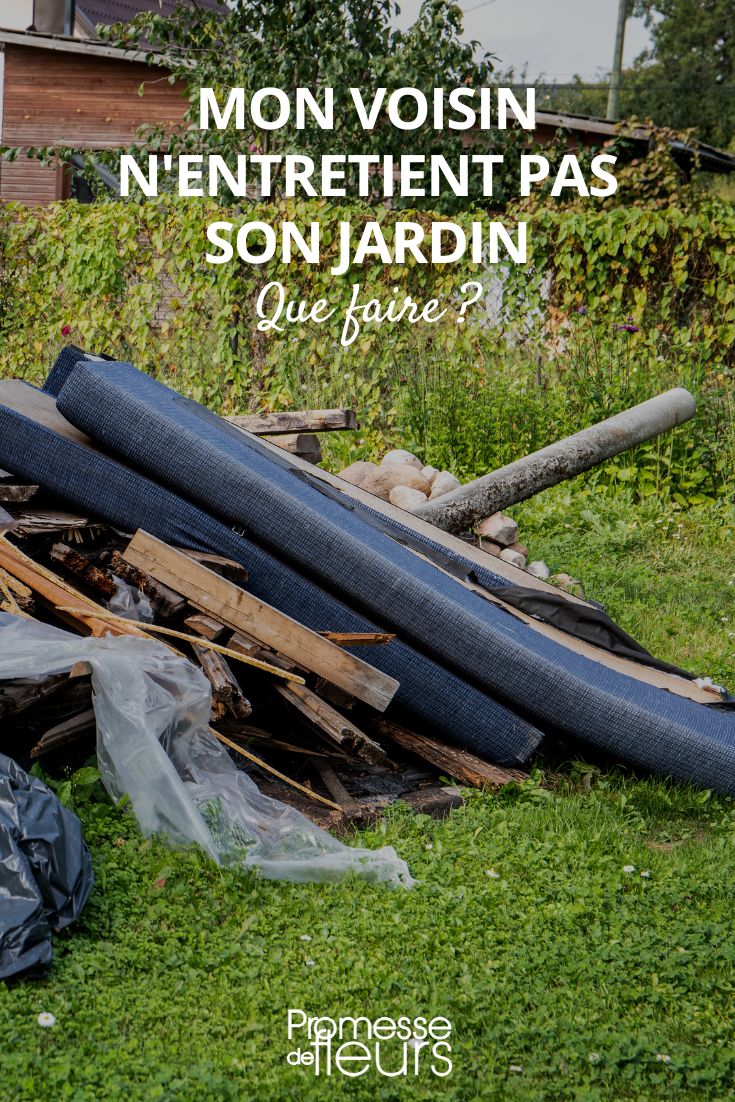 Undergrowth, weeds, rubble, waste: what are the possible remedies?