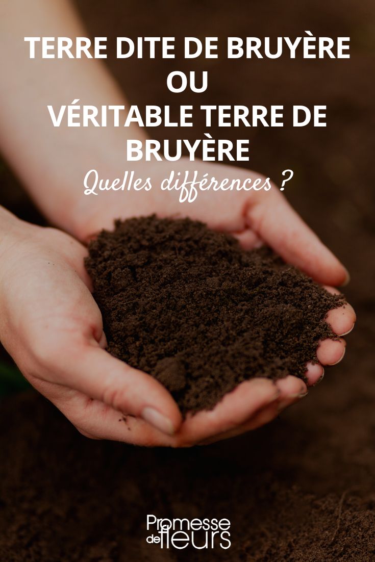 substrate for acidophilous plants