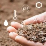 Conducting a soil analysis: why and how?