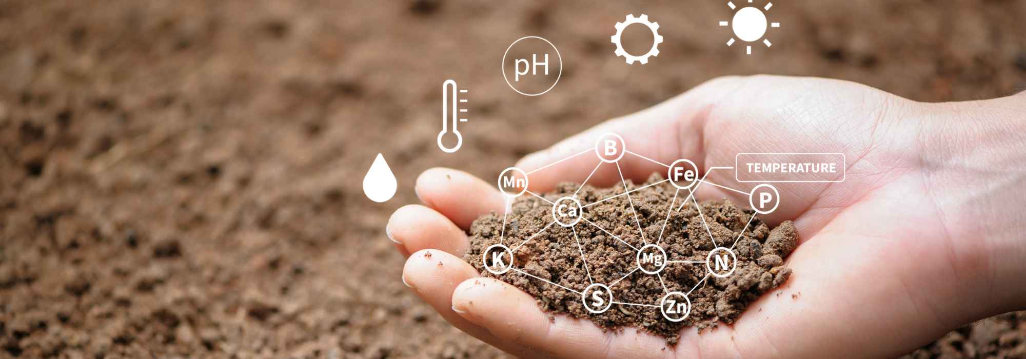 Conducting a soil analysis: why and how?