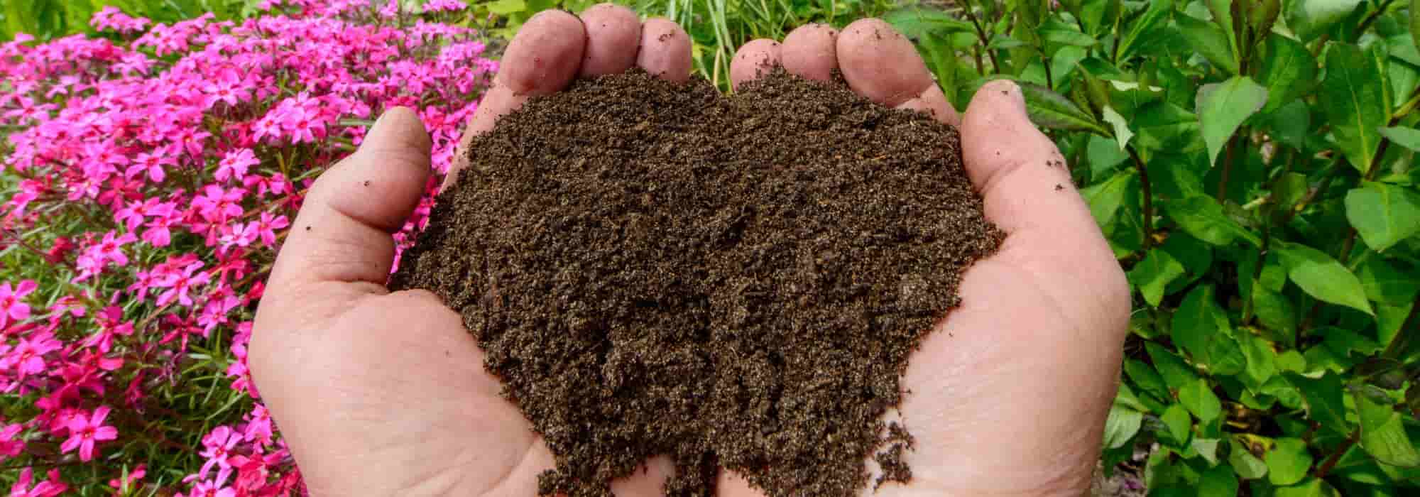 How to enrich poor soil?
