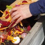 How to create an eco-friendly garden?