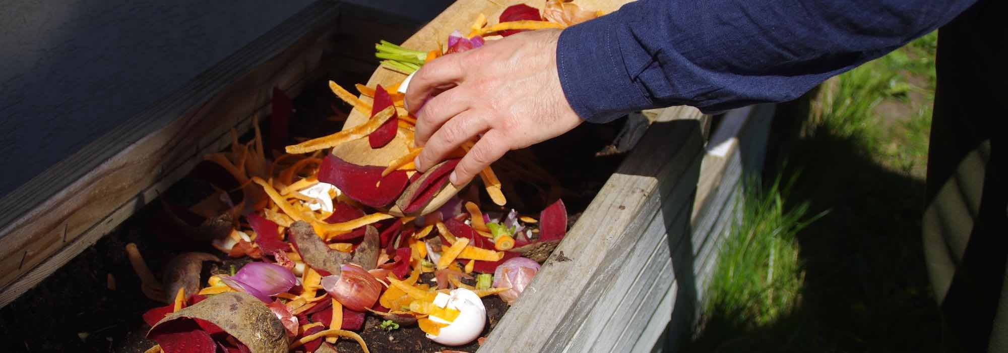 How to create an eco-friendly garden?