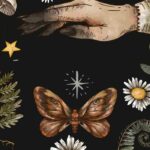 The plants of witchcraft