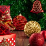 Eco-friendly Christmas gift ideas: give plants for the garden!