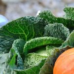 Preparing Your Vegetable Garden for Winter