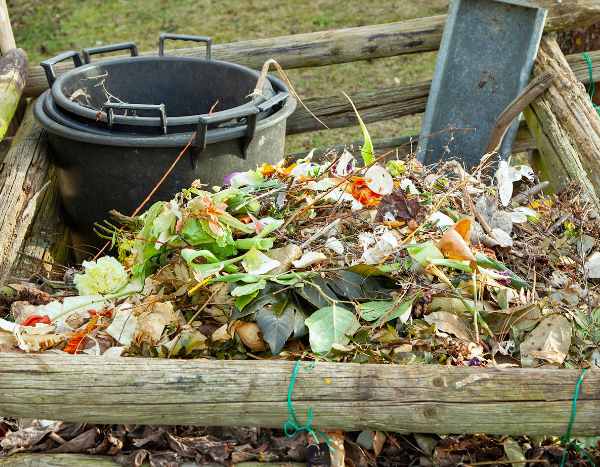 How to Fail at Composting in 6 Lessons?