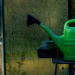 How to water the greenhouse in winter?