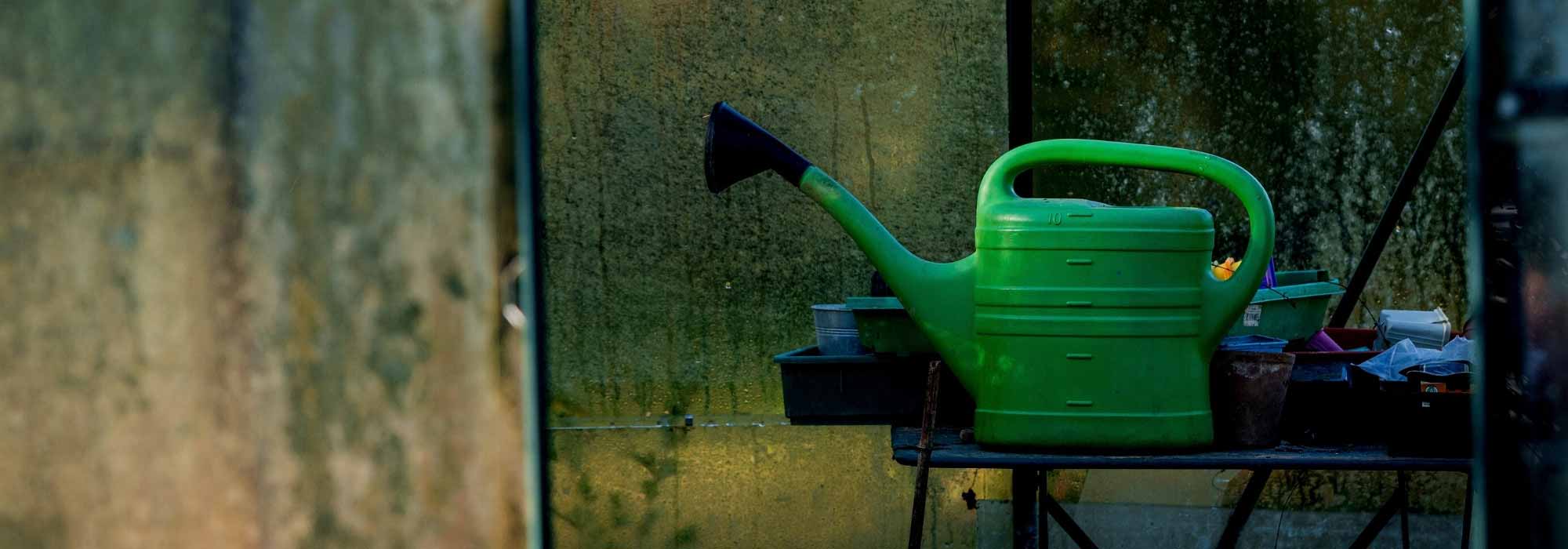 How to water the greenhouse in winter?