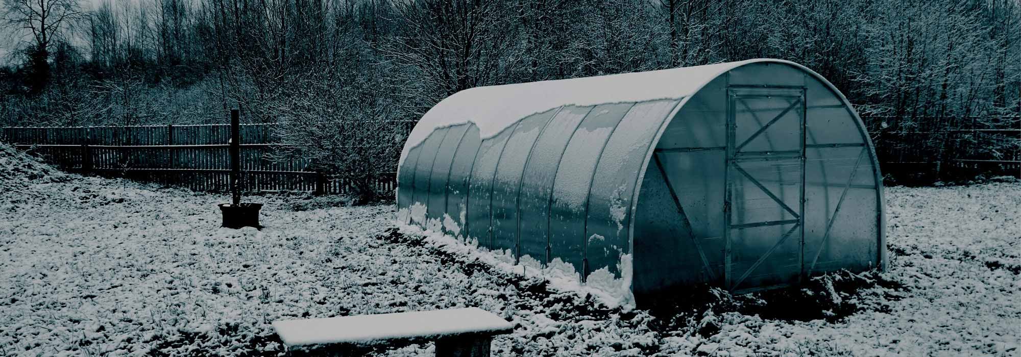 Winter Greenhouse Cultivation: Benefits and Practical Tips