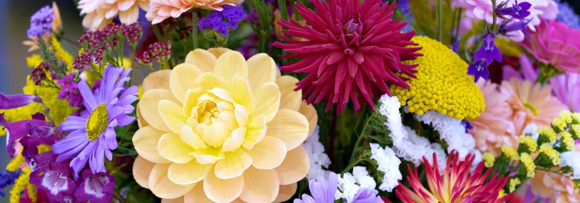 Plant bulbs to make your own cut flower arrangements at home!
