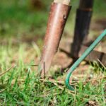 When renting, who is responsible for maintaining the garden?