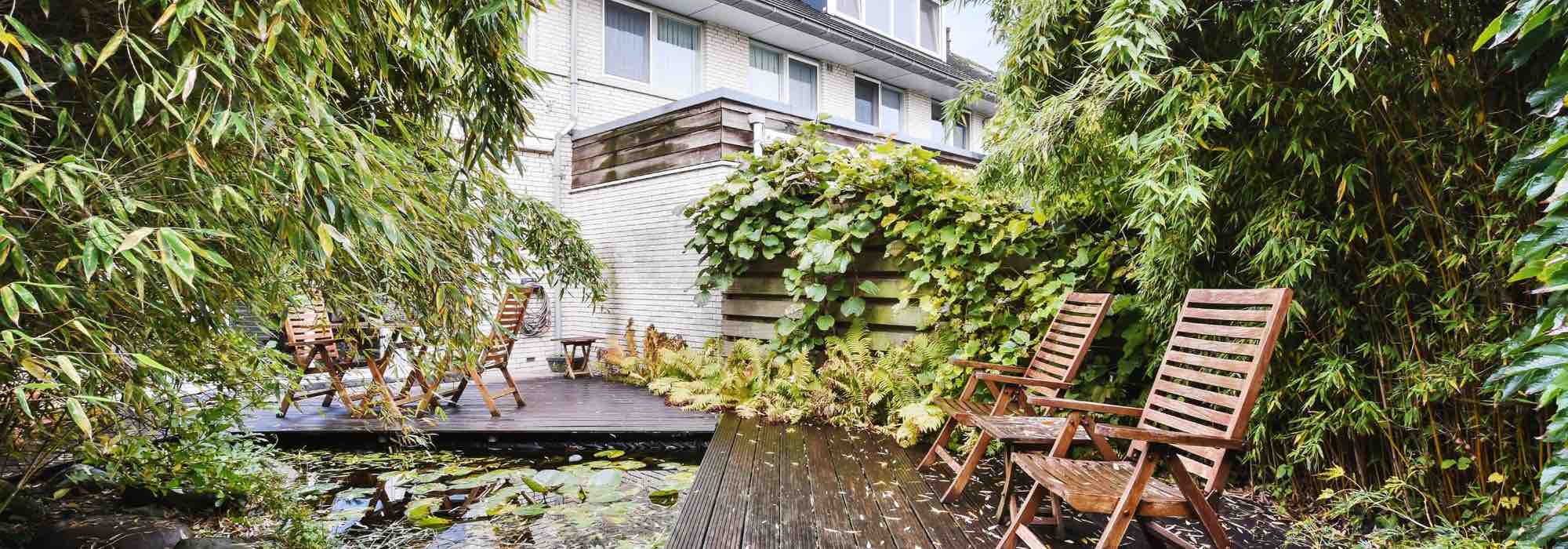 9 ideal plants for greening a contemporary terrace