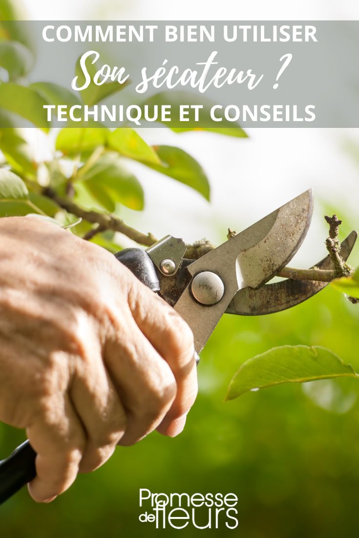 Cutting tool