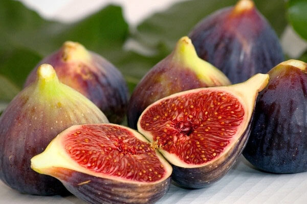 How to harvest and store figs?