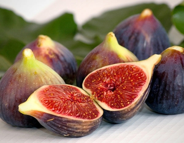 How to harvest and store figs?