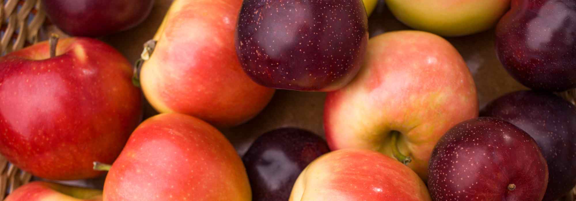 Fruits with pips or stone: what are the differences?