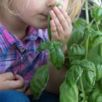 7 Creative Ideas to Introduce Children to Gardening – Even Without a Garden