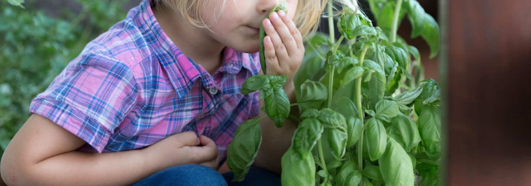 7 Creative Ideas to Introduce Children to Gardening – Even Without a Garden