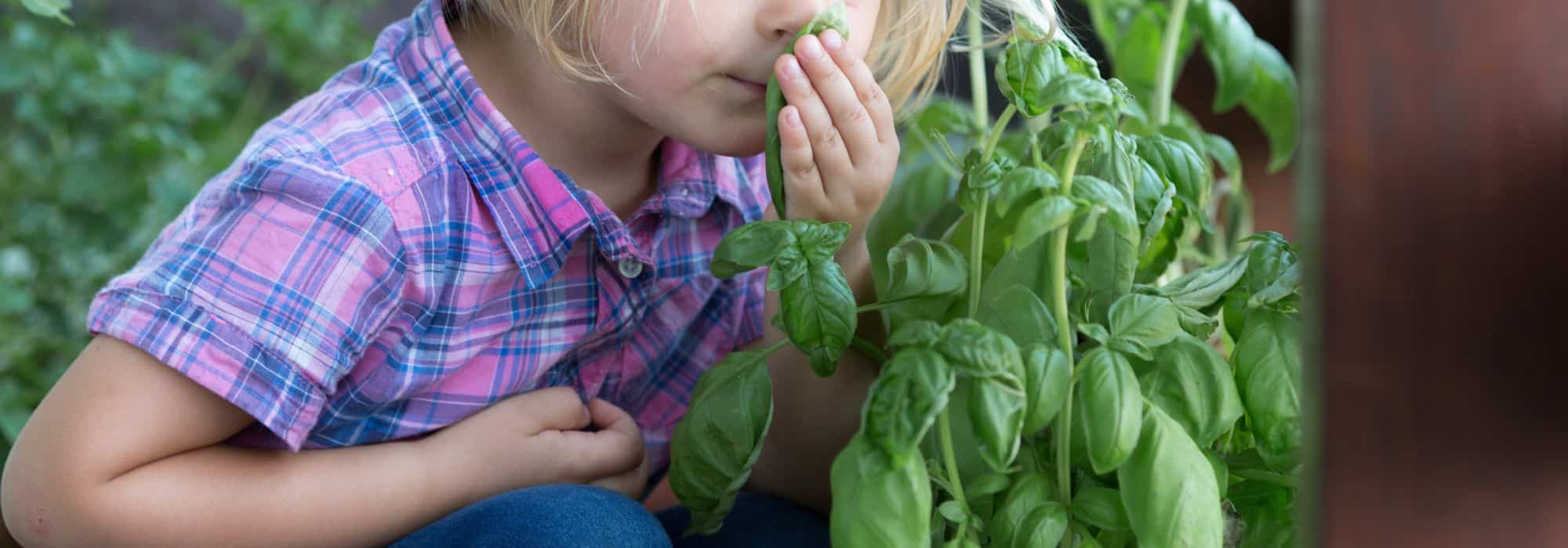 7 Creative Ideas to Introduce Children to Gardening – Even Without a Garden