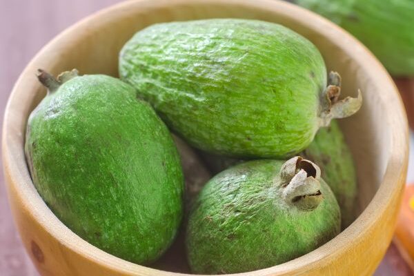 How to harvest and store feijoa fruits?