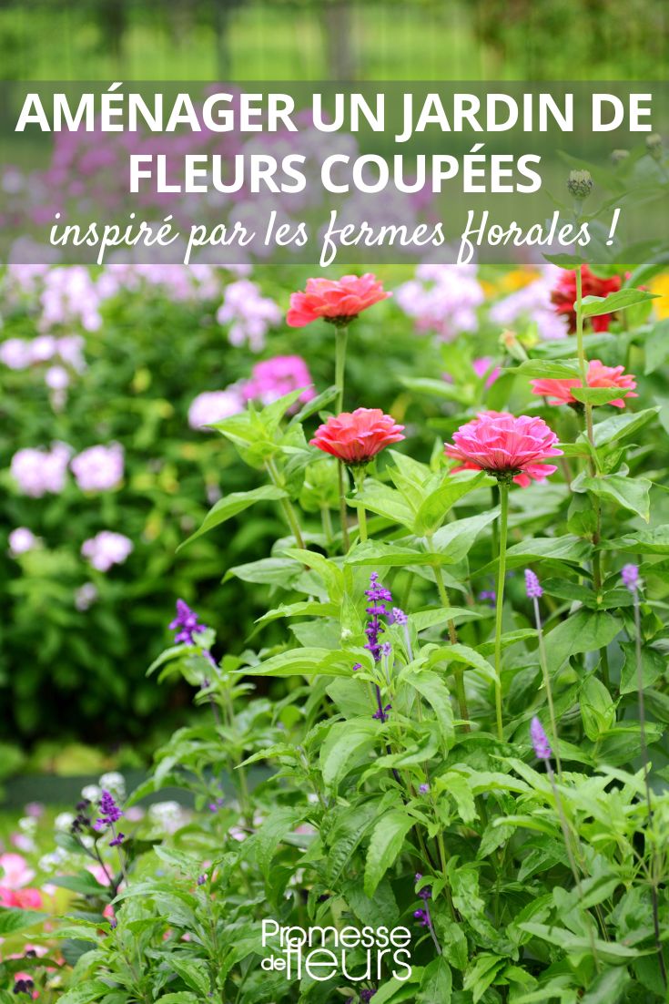 A Garden for Bouquets